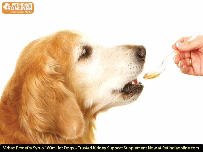 Virbac Pronefra Syrup 180ml for Dogs – Trusted Kidney Support Supplement Now at Petindiaonline.com