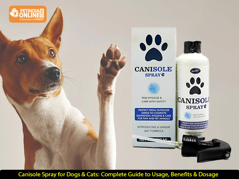 Canisole Spray for Dogs & Cats: Complete Guide to Usage, Benefits & Dosage