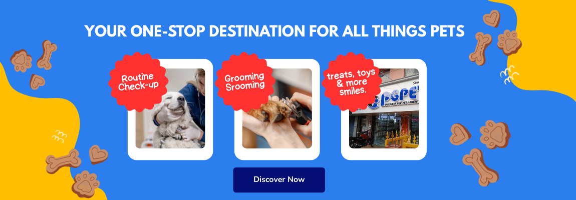 pgpet store