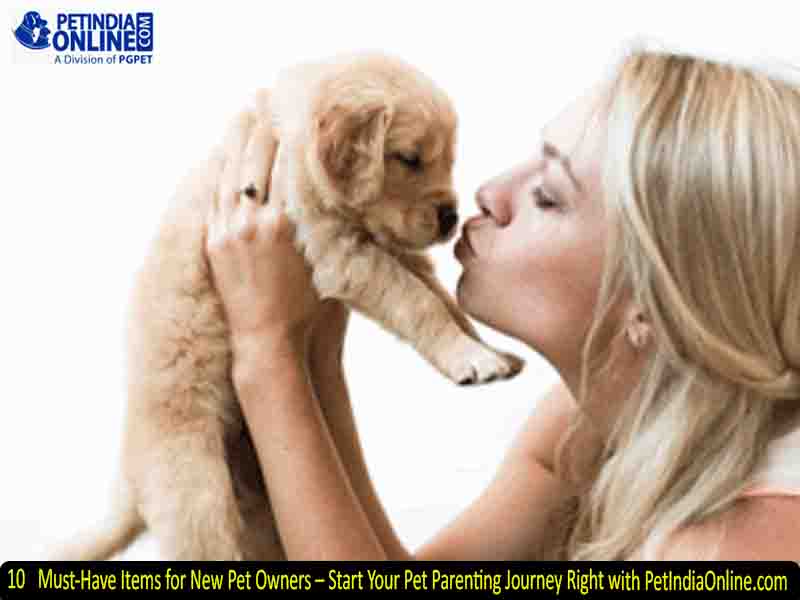 10 Must-Have Items for New Pet Owners – Start Your Pet Parenting Journey Right with PetIndiaOnline.com