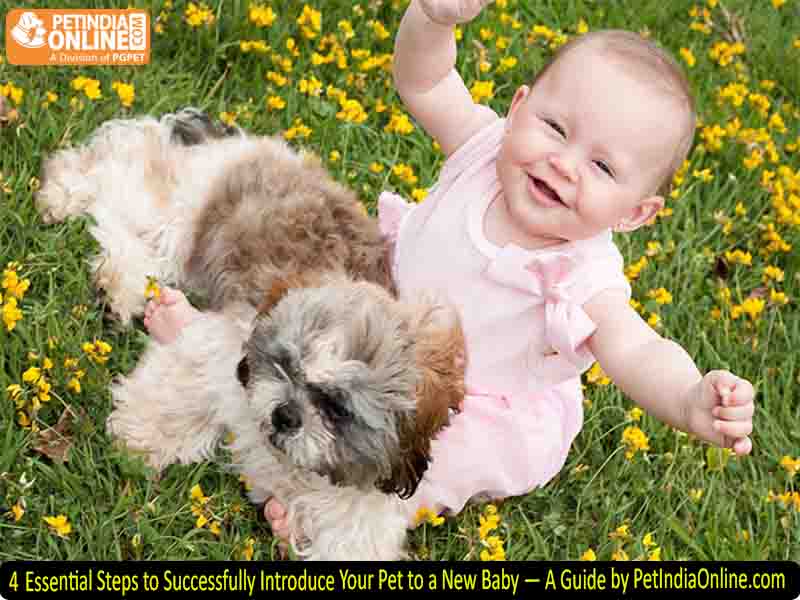 4 Essential Steps to Successfully Introduce Your Pet to a New Baby — A Guide by PetIndiaOnline.com