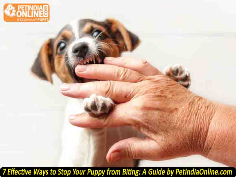 7 Effective Ways to Stop Your Puppy from Biting: A Guide by PetIndiaOnline.com