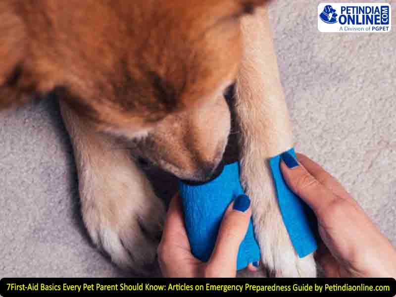 7 First-Aid Basics Every Pet Parent Should Know: Articles on Emergency Preparedness Guide by Petindiaonline.com