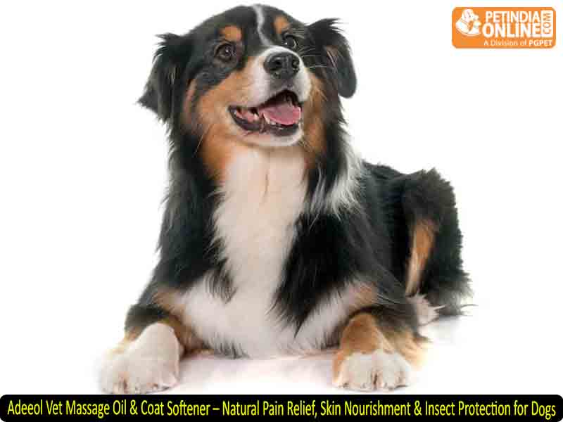 Adeeol Vet Massage Oil & Coat Softener – Natural Pain Relief, Skin Nourishment & Insect Protection for Dogs