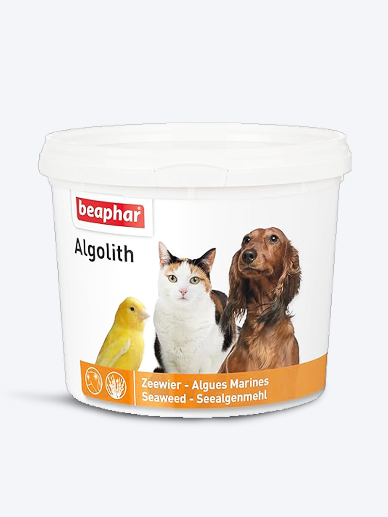 Buy Beaphar Algolith Dog Supplement 500gm Online at Petindiaonline.com | Natural Seaweed Nutrition