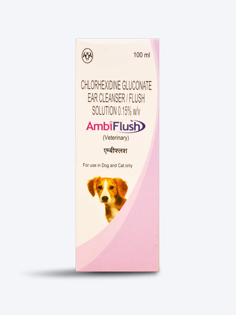 Buy Intas AmbiFlush Ear Cleanser For Dogs and Cats at a low price in online India on petindiaonline