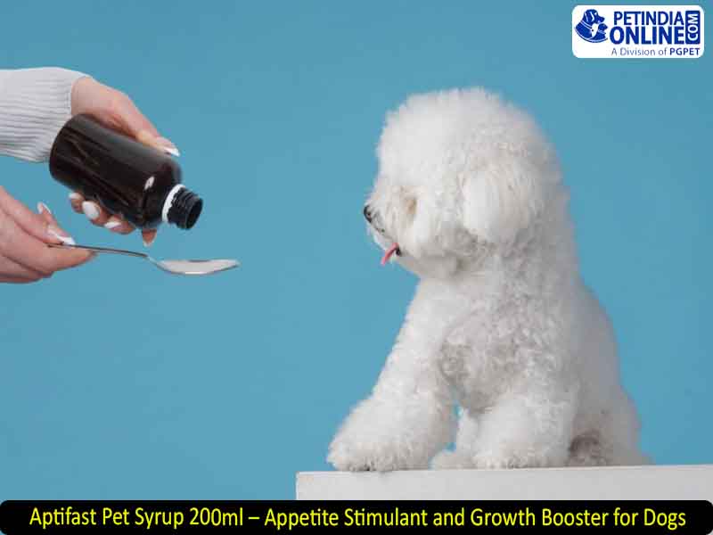 Aptifast Pet Syrup 200ml – Appetite Stimulant and Growth Booster for Dogs