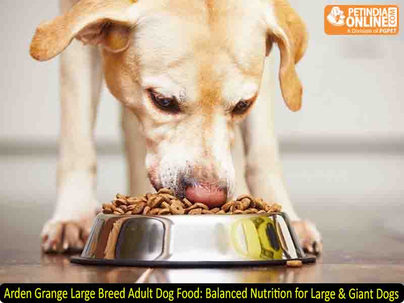 Arden Grange Large Breed Adult Dog Food: Balanced Nutrition for Large & Giant Dogs