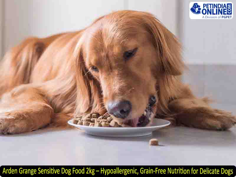 Arden Grange Sensitive Dog Food 2kg – Hypoallergenic, Grain-Free Nutrition for Delicate Dogs