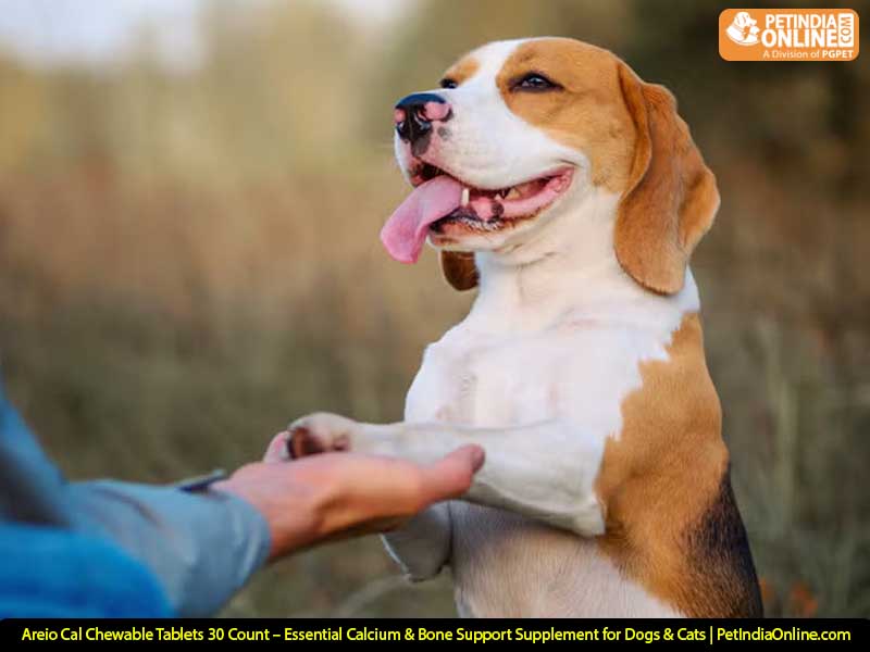 Areio Cal Chewable Tablets 30 Count – Essential Calcium & Bone Support Supplement for Dogs & Cats | PetIndiaOnline.com