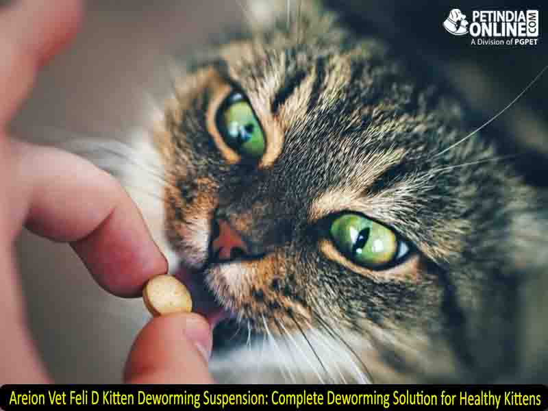Areion Vet Feli D Kitten Deworming Suspension:  Complete Deworming Solution for Healthy Kittens