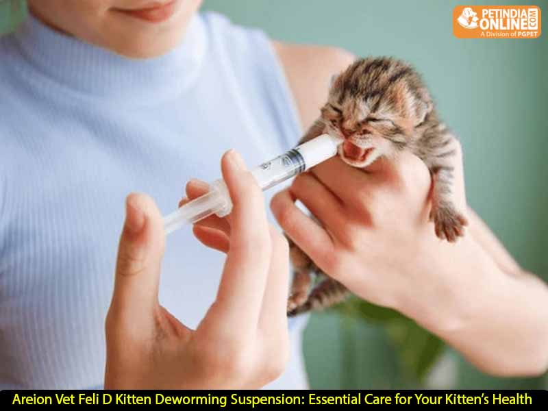 Areion Vet Feli D Kitten Deworming Suspension: Essential Care for Your Kitten’s Health