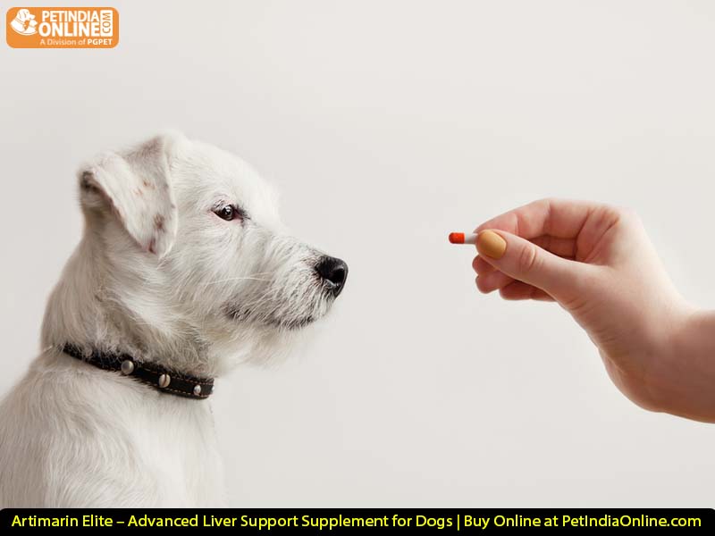 Artimarin Elite – Advanced Liver Support Supplement for Dogs | Buy Online at PetIndiaOnline.com