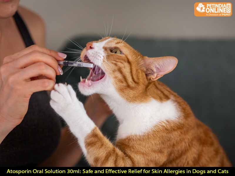 Atosporin Oral Solution 30ml: Safe and Effective Relief for Skin Allergies in Dogs and Cats