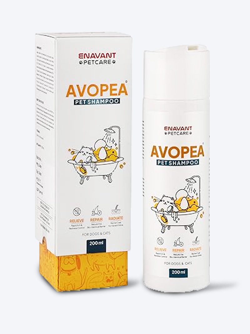 Avopea Shampoo 200ml for Dogs & Cats | Nourishing & Gentle Pet Shampoo