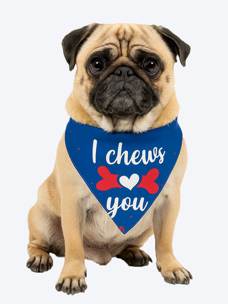 Petex Dog Bandana – (I Chews You) | Stylish & Comfortable Pet Accessory