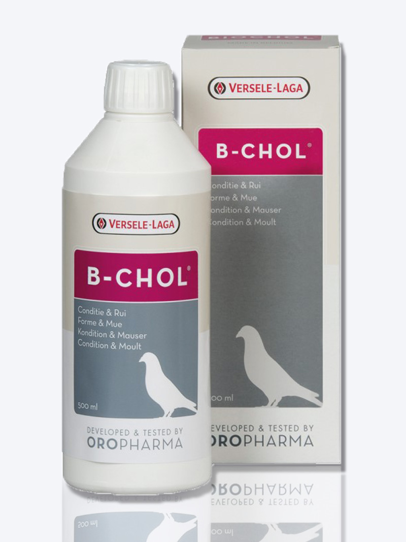 Versele Laga B-Chol 500ml for Birds | Liver Support Supplement | Petindiaonline.com