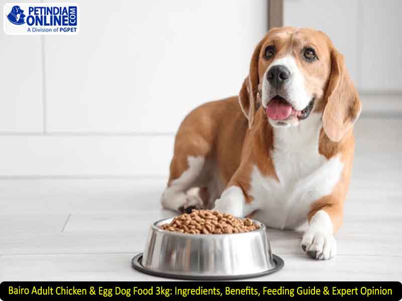 Bairo Adult Chicken & Egg Dog Food 3kg: Ingredients, Benefits, Feeding Guide & Expert Opinion