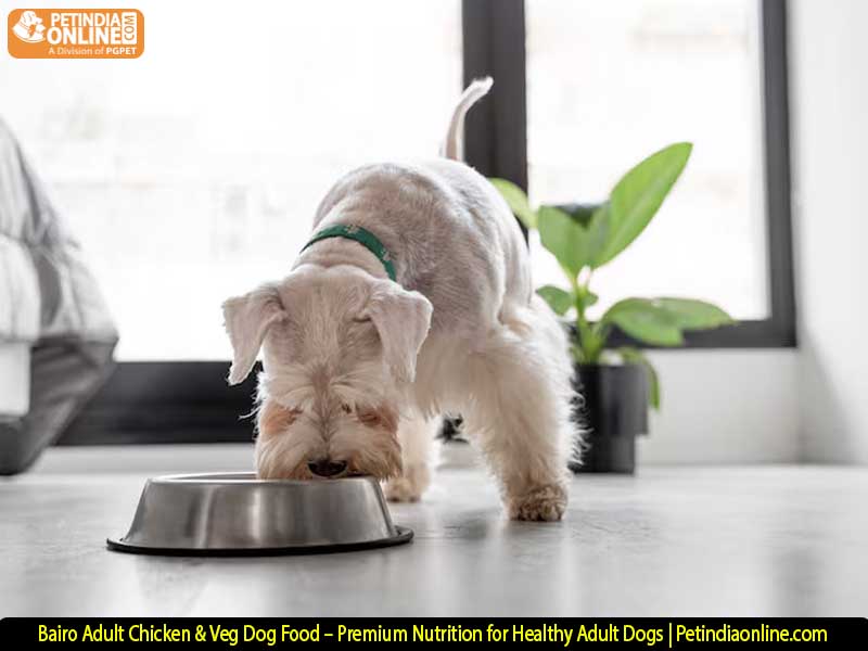 Bairo Adult Chicken & Veg Dog Food – Premium Nutrition for Healthy Adult Dogs | Petindiaonline.com