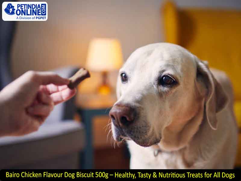 Bairo Chicken Flavour Dog Biscuit 500g – Healthy, Tasty & Nutritious Treats for All Dogs