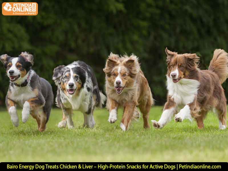Bairo Energy Dog Treats Chicken & Liver – High-Protein Snacks for Active Dogs | Petindiaonline.com