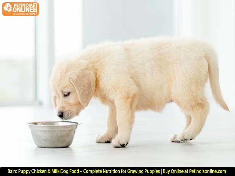 Bairo Puppy Chicken & Milk Dog Food – Complete Nutrition for Growing Puppies | Buy Online at Petindiaonline.com