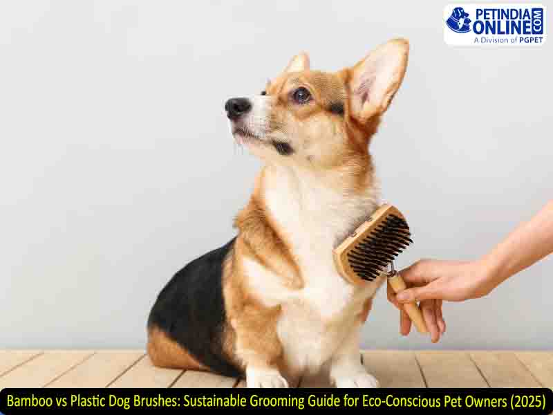 Bamboo vs Plastic Dog Brushes: Sustainable Grooming Guide for Eco-Conscious Pet Owners (2025)