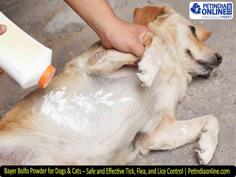 Bayer Bolfo Powder for Dogs & Cats – Safe and Effective Tick, Flea, and Lice Control | Petindiaonline.com