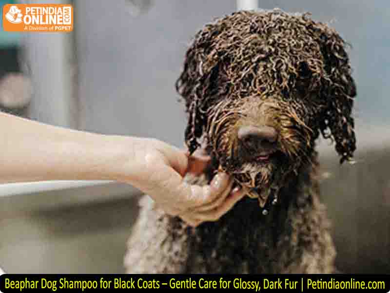 Beaphar Dog Shampoo for Black Coats – Gentle Care for Glossy, Dark Fur | Petindiaonline.com