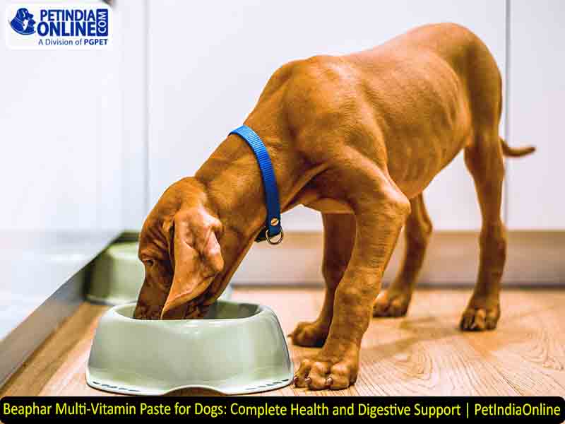 Beaphar Multi-Vitamin Paste for Dogs: Complete Health and Digestive Support | PetIndiaOnline