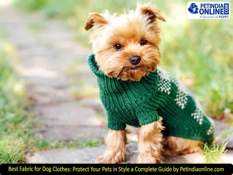 Best Fabric for Dog Clothes: Protect Your Pets in Style a Complete Guide by Petindiaonline.com