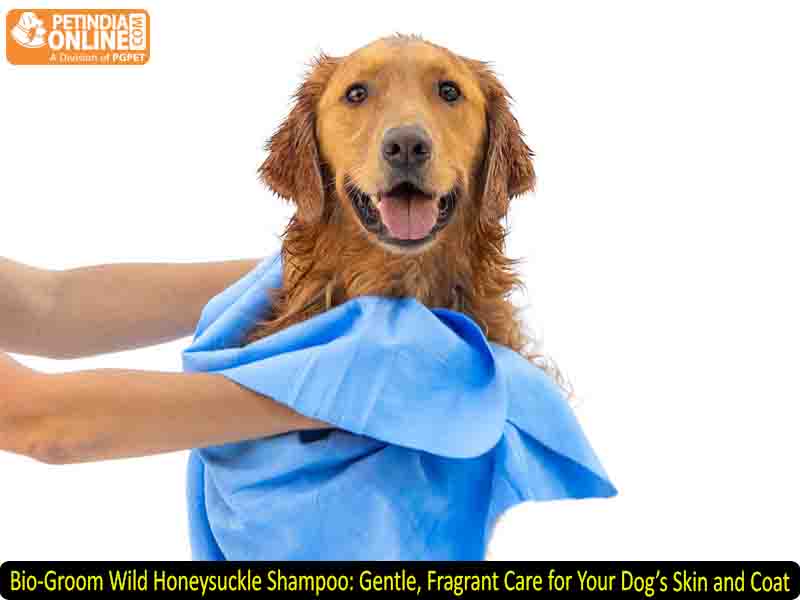 Bio-Groom Wild Honeysuckle Shampoo: Gentle, Fragrant Care for Your Dog’s Skin and Coat