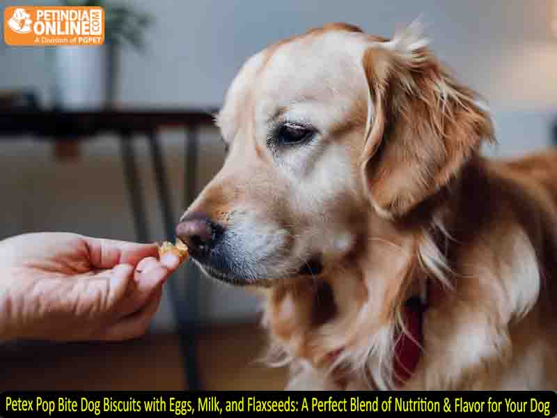 Petex Pop Bite Dog Biscuits with Eggs, Milk, and Flaxseeds: A Perfect Blend of Nutrition & Flavor for Your Dog