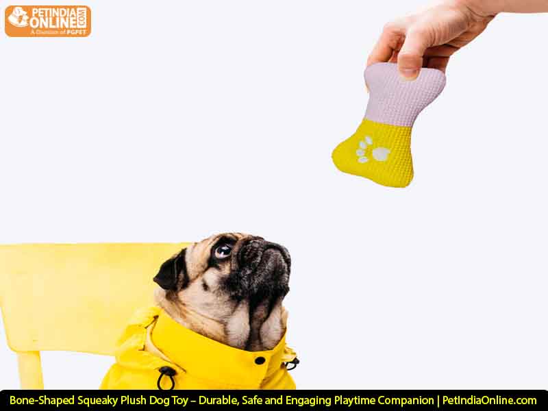 Bone-Shaped Squeaky Plush Dog Toy – Durable, Safe & Engaging Playtime Companion | PetIndiaOnline.com