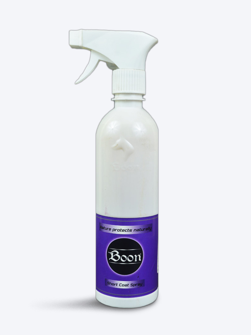 Buy Boon Spray for Dog Short Coat 200ml – Petindiaonline.com
