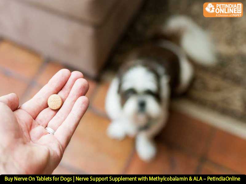 Buy Nerve On Tablets for Dogs | Nerve Support Supplement with Methylcobalamin & ALA – PetIndiaOnline