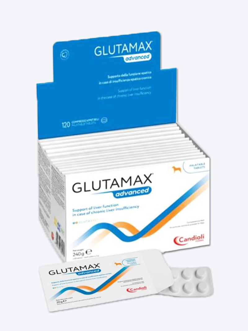 Buy Candioli Glutamax Advance Liver Supplement for Dogs & Cats | 10 Tablets | Petindiaonline.com