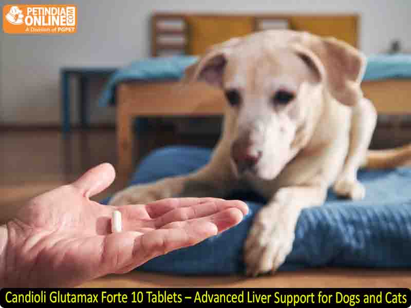 Candioli Glutamax Forte 10 Tablets – Advanced Liver Support for Dogs and Cats