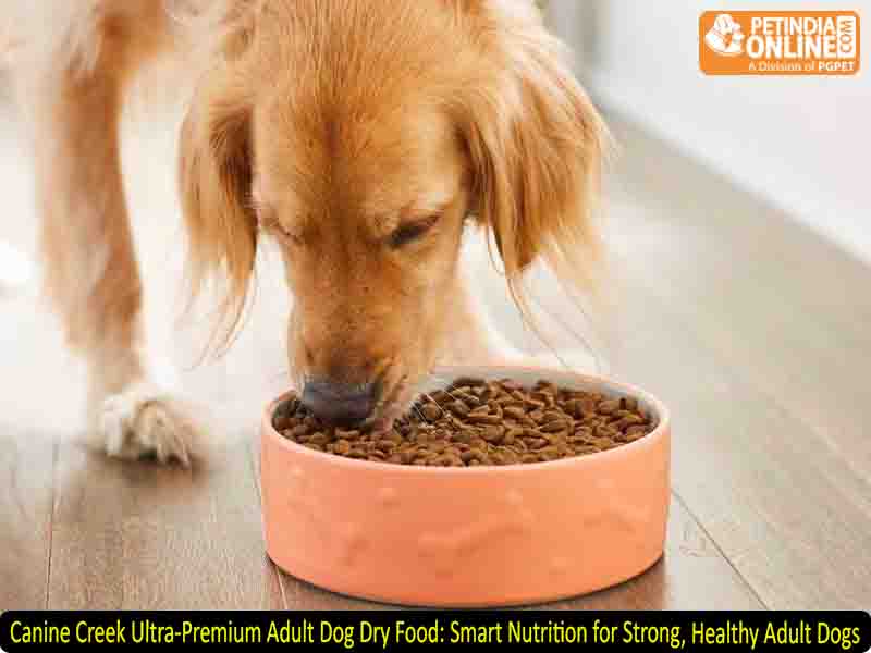 Canine Creek Ultra-Premium Adult Dog Dry Food: Smart Nutrition for Strong, Healthy Adult Dogs