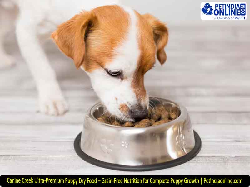 Canine Creek Ultra-Premium Puppy Dry Food – Grain-Free Nutrition for Complete Puppy Growth | PetIndiaonline.com