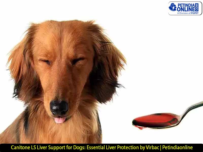 Canitone LS Liver Support for Dogs: Essential Liver Protection by Virbac | Petindiaonline