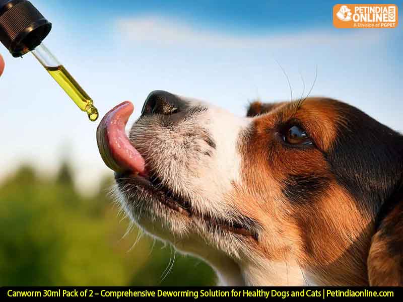 Canworm 30ml Pack of 2 – Comprehensive Deworming Solution for Healthy Dogs and Cats | Petindiaonline.com