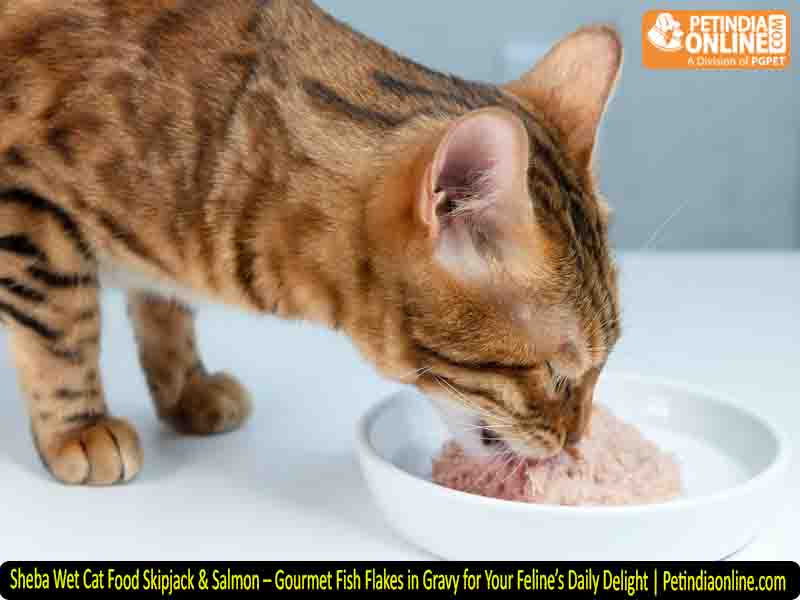 Sheba Wet Cat Food Skipjack & Salmon – Gourmet Fish Flakes in Gravy for Your Feline’s Daily Delight | Petindiaonline.com