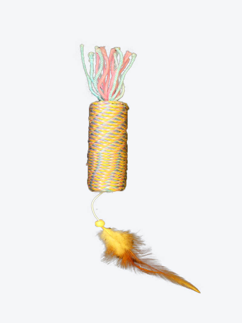 Buy Cat Interactive Toy at a low price in online India on Petindiaonline