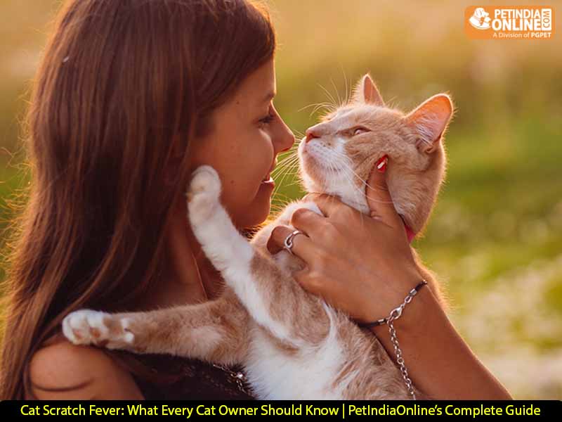 Cat Scratch Fever: What Every Cat Owner Should Know | PetIndiaOnline’s Complete Guide