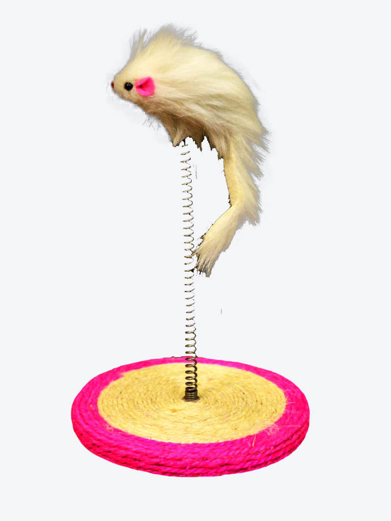 Buy Cat Spring Toy at a low price in online India on Petindiaonline