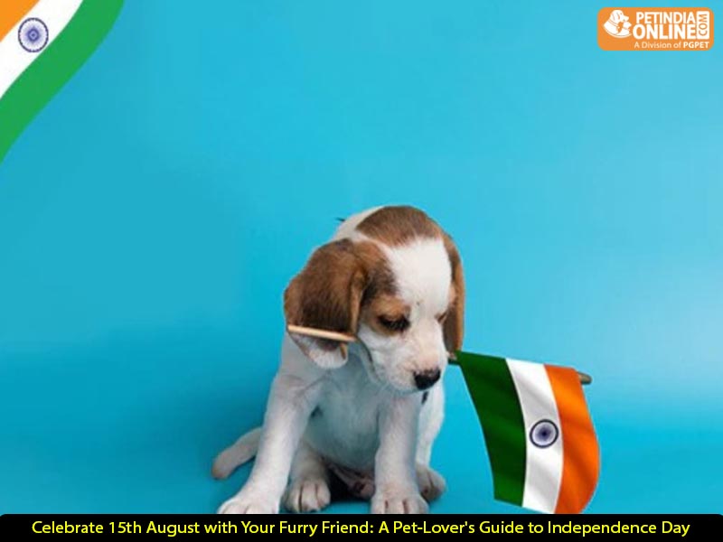 Celebrate 15th August with Your Furry Friend: A Pet-Lover's Guide to Independence Day