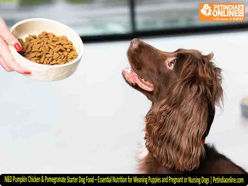 N&D Pumpkin Chicken & Pomegranate Starter Dog Food – Essential Nutrition for Weaning Puppies and Pregnant or Nursing Dogs | Petindiaonline.com