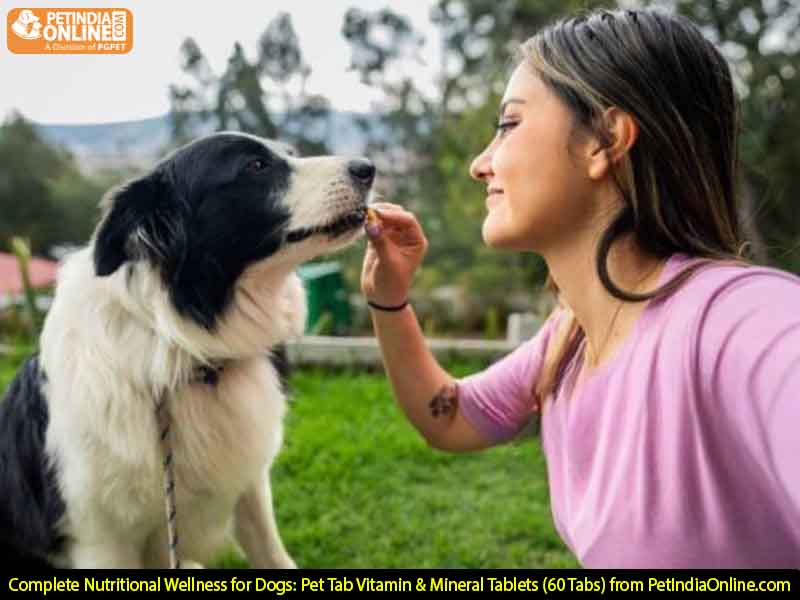 Complete Nutritional Wellness for Dogs: Pet Tab Vitamin & Mineral Tablets (60 Tabs) from PetIndiaOnline.com