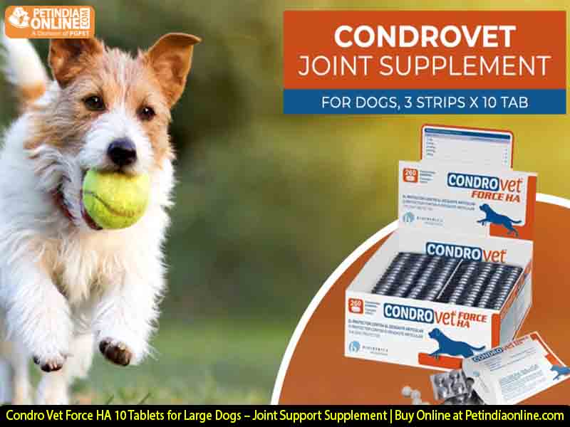 Condro Vet Force HA 10 Tablets for Large Dogs – Joint Support Supplement | Buy Online at Petindiaonline.com